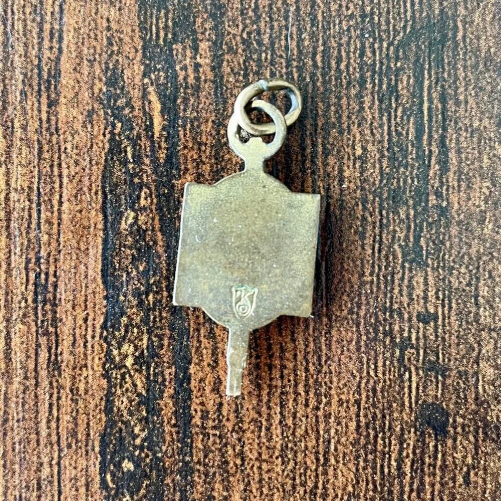 Vintage Pin Lot Ursinus College Red Cross DAR Enamel Pins - Picture 5 of 10